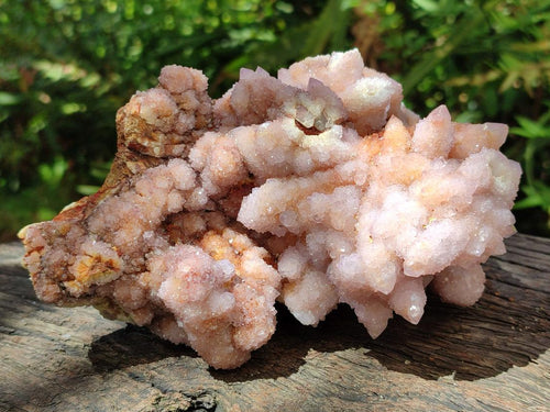 Natural Amethyst and Ametrine Spirit Clusters x 2 From Boekenhouthoek, South Africa - Toprock Gemstones and Minerals 