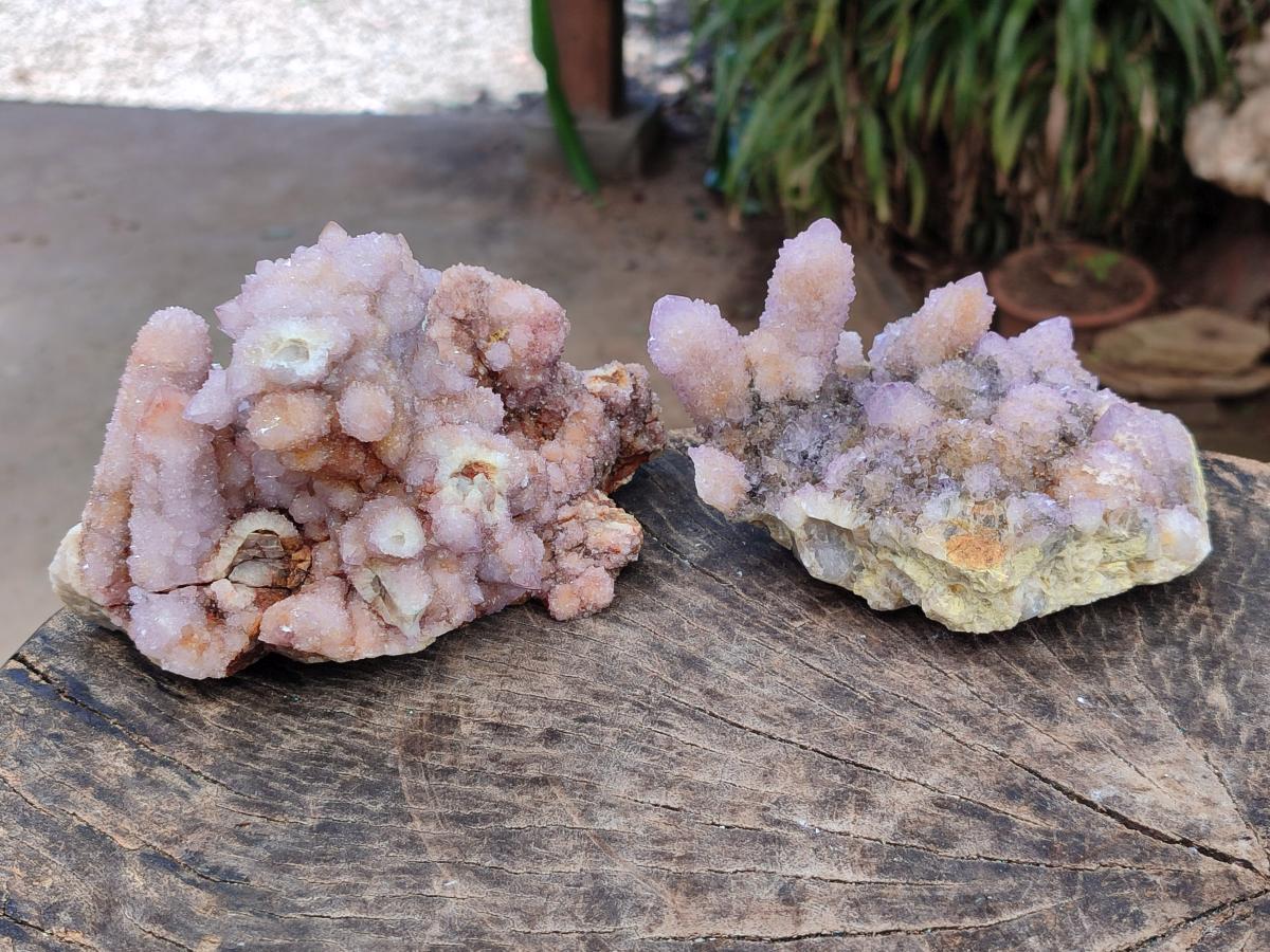 Natural Amethyst and Ametrine Spirit Clusters x 2 From Boekenhouthoek, South Africa - Toprock Gemstones and Minerals 