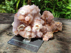 Natural Amethyst and Ametrine Spirit Clusters x 2 From Boekenhouthoek, South Africa - Toprock Gemstones and Minerals 