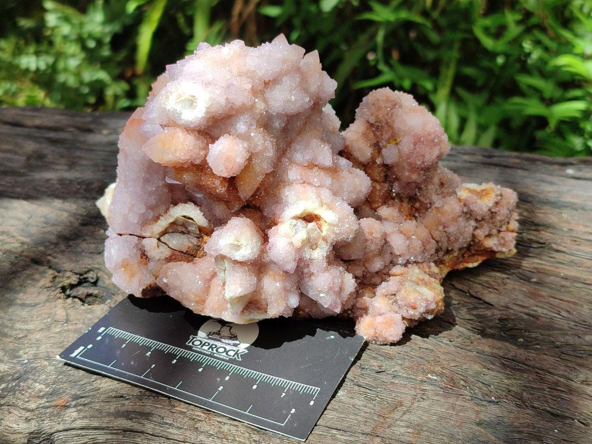 Natural Amethyst and Ametrine Spirit Clusters x 2 From Boekenhouthoek, South Africa - Toprock Gemstones and Minerals 