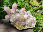 Natural Amethyst and Ametrine Spirit Clusters x 2 From Boekenhouthoek, South Africa - Toprock Gemstones and Minerals 