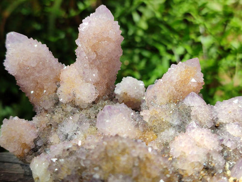 Natural Amethyst and Ametrine Spirit Clusters x 2 From Boekenhouthoek, South Africa - Toprock Gemstones and Minerals 