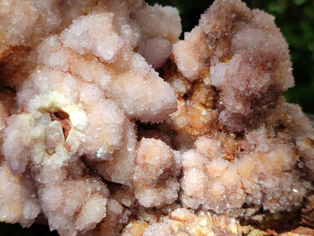 Natural Amethyst and Ametrine Spirit Clusters x 2 From Boekenhouthoek, South Africa - Toprock Gemstones and Minerals 
