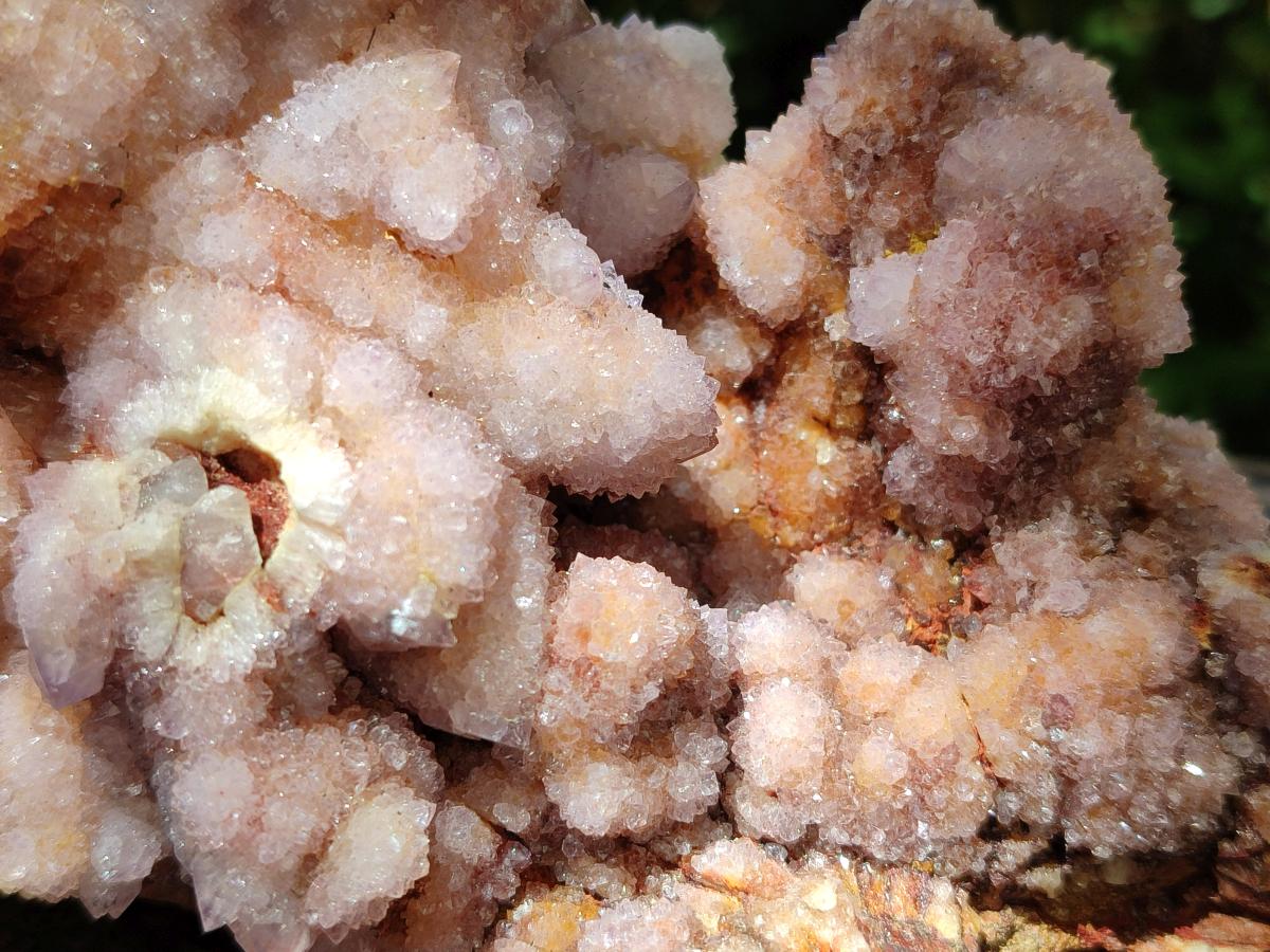 Natural Amethyst and Ametrine Spirit Clusters x 2 From Boekenhouthoek, South Africa - Toprock Gemstones and Minerals 