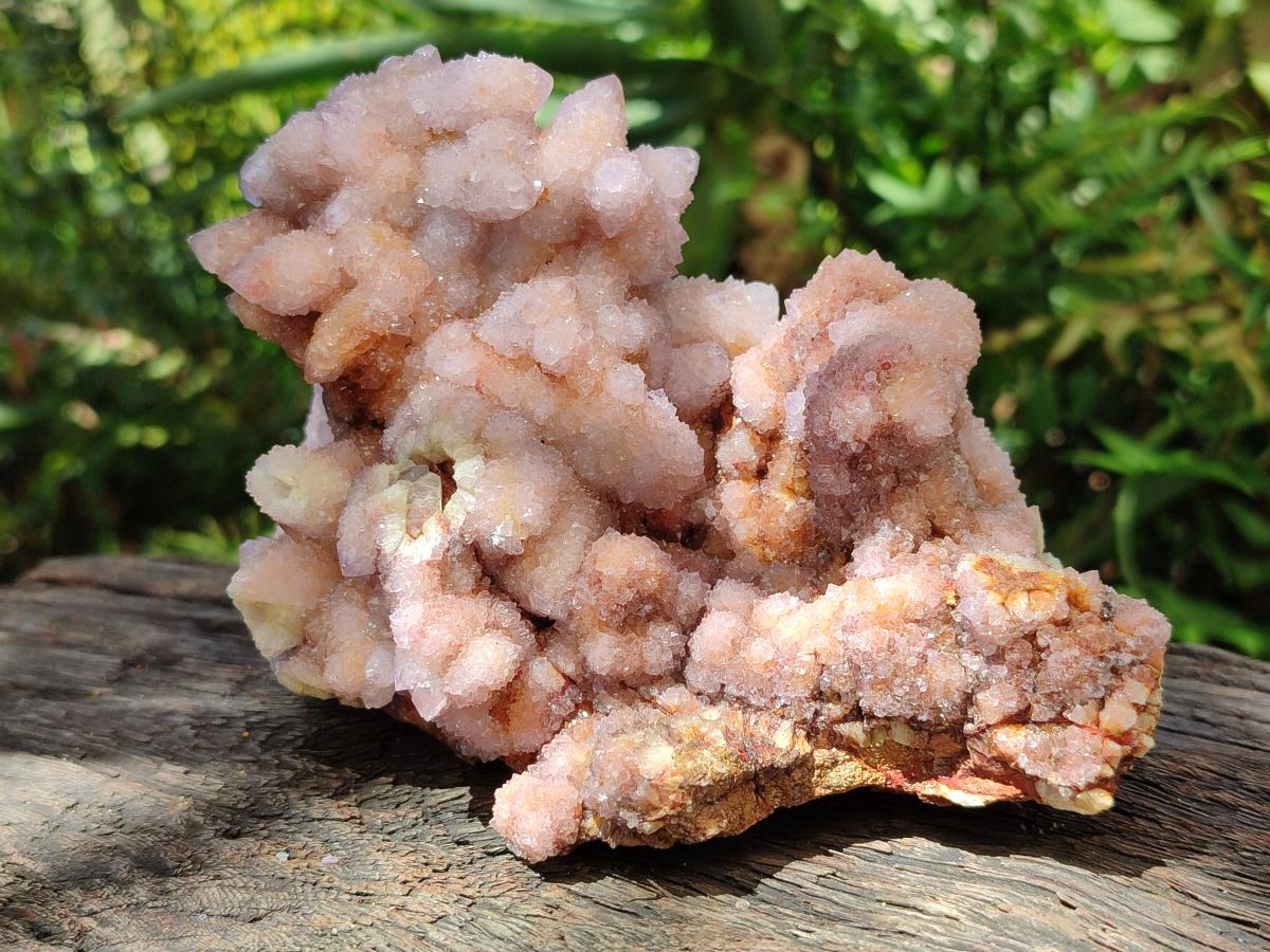 Natural Amethyst and Ametrine Spirit Clusters x 2 From Boekenhouthoek, South Africa - Toprock Gemstones and Minerals 