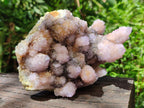 Natural Amethyst and Ametrine Spirit Clusters x 2 From Boekenhouthoek, South Africa - Toprock Gemstones and Minerals 