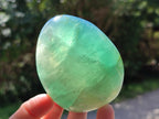 Polished Green Fluorite Standing Free Forms x 3 From Madagascar - Toprock Gemstones and Minerals 