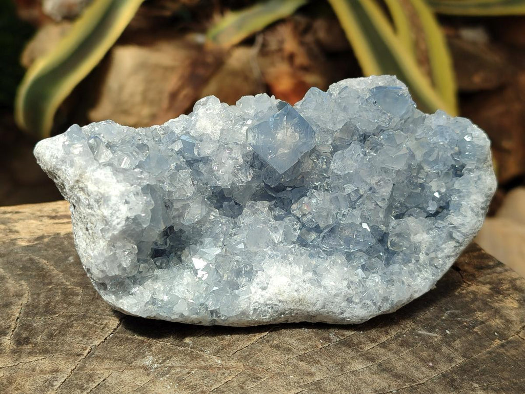 Natural Blue Celestite Specimens x 3 From Sakoany, Madagascar - Toprock Gemstones and Minerals 