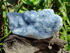 Natural Blue Celestite Specimens x 3 From Sakoany, Madagascar - Toprock Gemstones and Minerals 