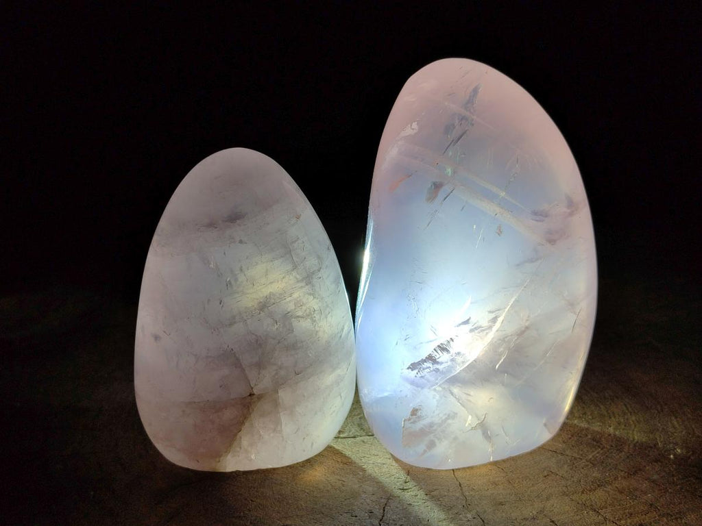 Polished Gemmy Rose Quartz Standing Free Forms x 3 From Madagascar - Toprock Gemstones and Minerals 
