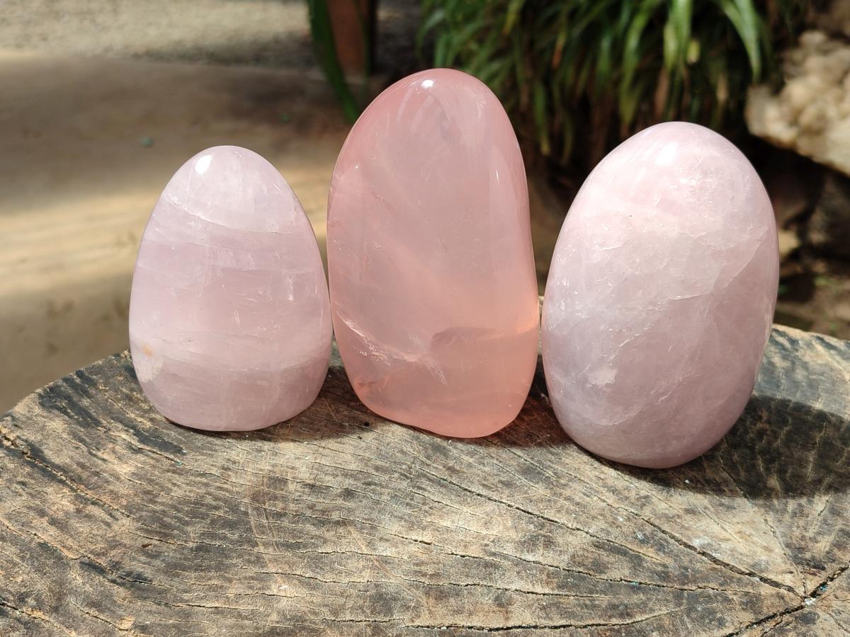 Polished Gemmy Rose Quartz Standing Free Forms x 3 From Madagascar - Toprock Gemstones and Minerals 