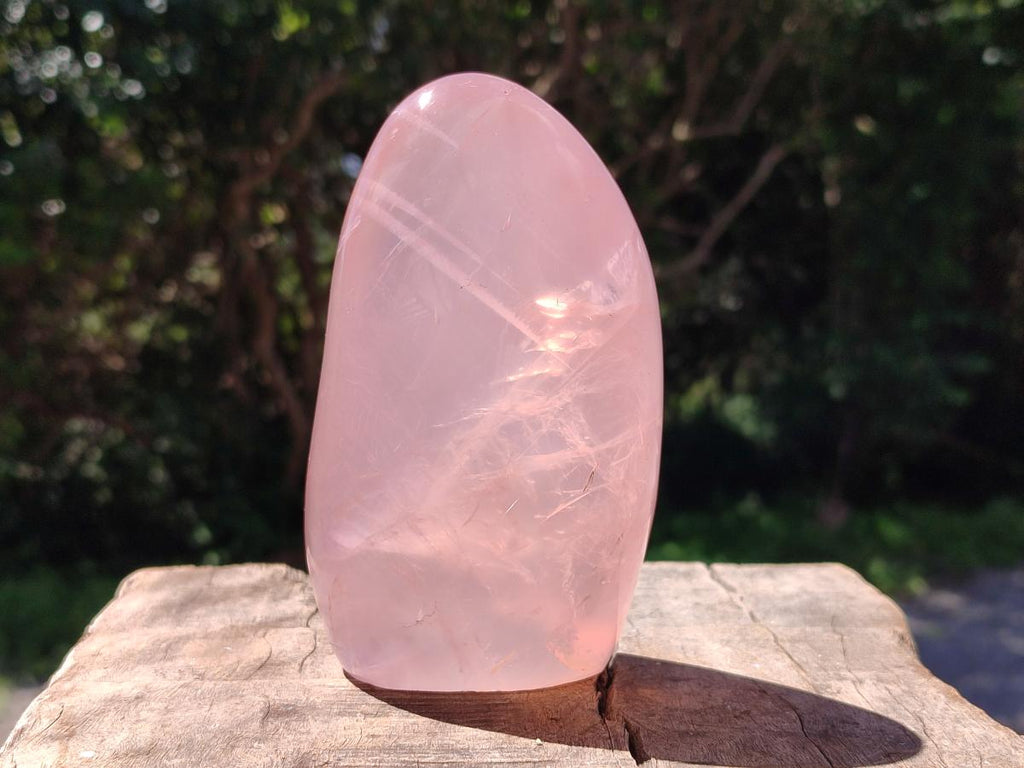 Polished Gemmy Rose Quartz Standing Free Forms x 3 From Madagascar - Toprock Gemstones and Minerals 