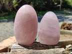 Polished Gemmy Rose Quartz Standing Free Forms x 3 From Madagascar - Toprock Gemstones and Minerals 