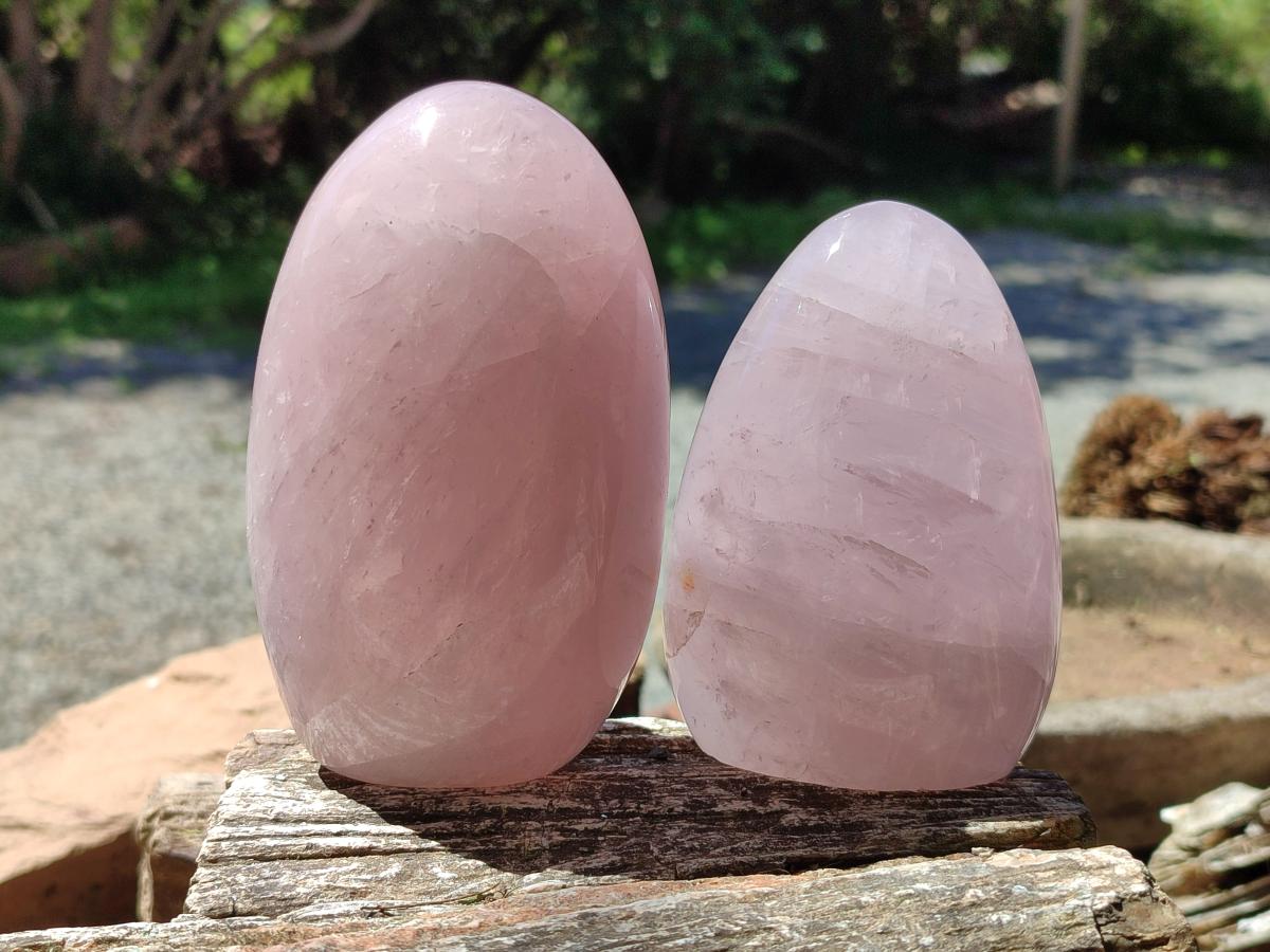 Polished Gemmy Rose Quartz Standing Free Forms x 3 From Madagascar - Toprock Gemstones and Minerals 
