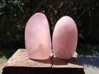 Polished Gemmy Rose Quartz Standing Free Forms x 3 From Madagascar - Toprock Gemstones and Minerals 