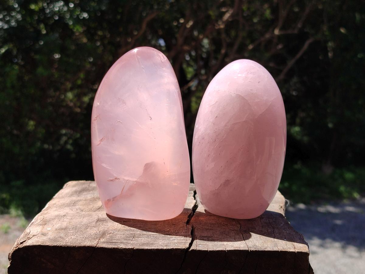 Polished Gemmy Rose Quartz Standing Free Forms x 3 From Madagascar - Toprock Gemstones and Minerals 