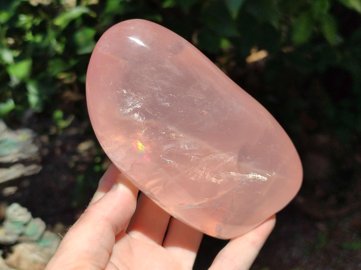 Polished Gemmy Rose Quartz Standing Free Forms x 3 From Madagascar - Toprock Gemstones and Minerals 