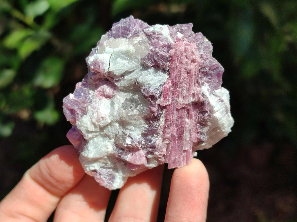 Natural Pink Rubellite Tourmaline Specimens x 6 From Karibib, Namibia - Toprock Gemstones and Minerals 