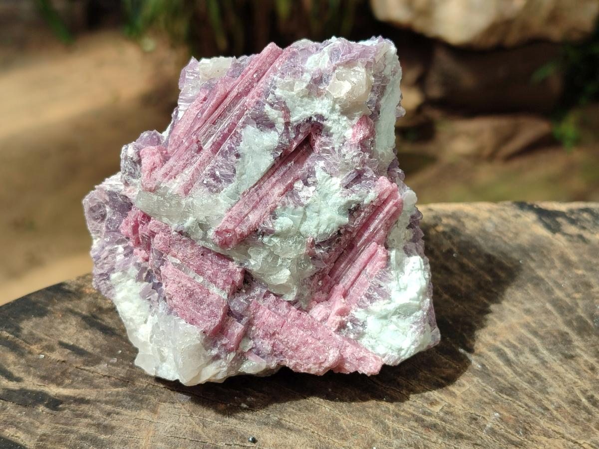 Natural Pink Rubellite Tourmaline Specimens x 6 From Karibib, Namibia - Toprock Gemstones and Minerals 
