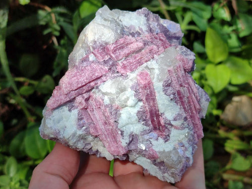 Natural Pink Rubellite Tourmaline Specimens x 6 From Karibib, Namibia - Toprock Gemstones and Minerals 