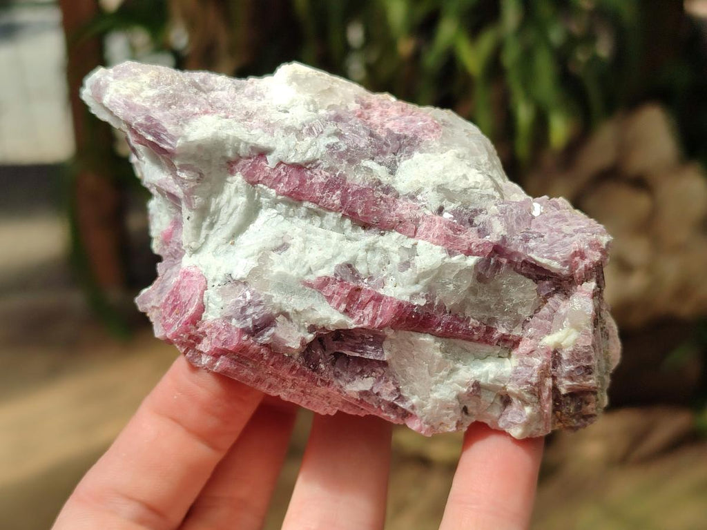 Natural Pink Rubellite Tourmaline Specimens x 6 From Karibib, Namibia - Toprock Gemstones and Minerals 
