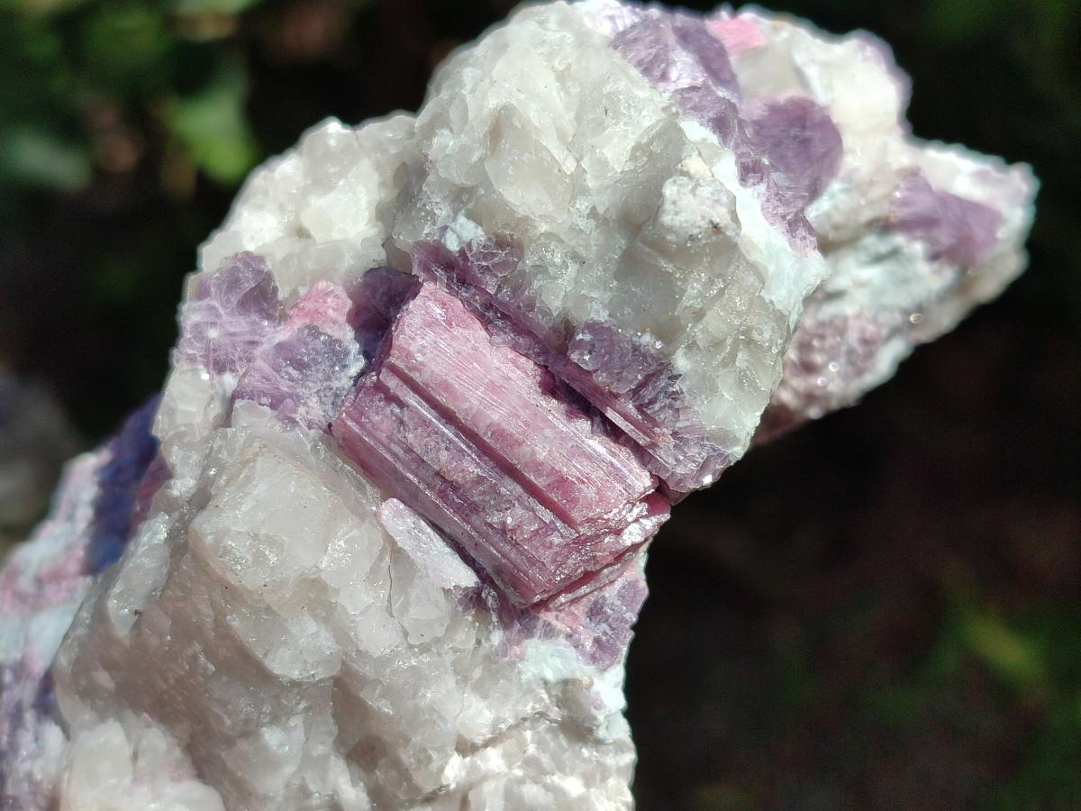 Natural Pink Rubellite Tourmaline Specimens x 6 From Karibib, Namibia - Toprock Gemstones and Minerals 