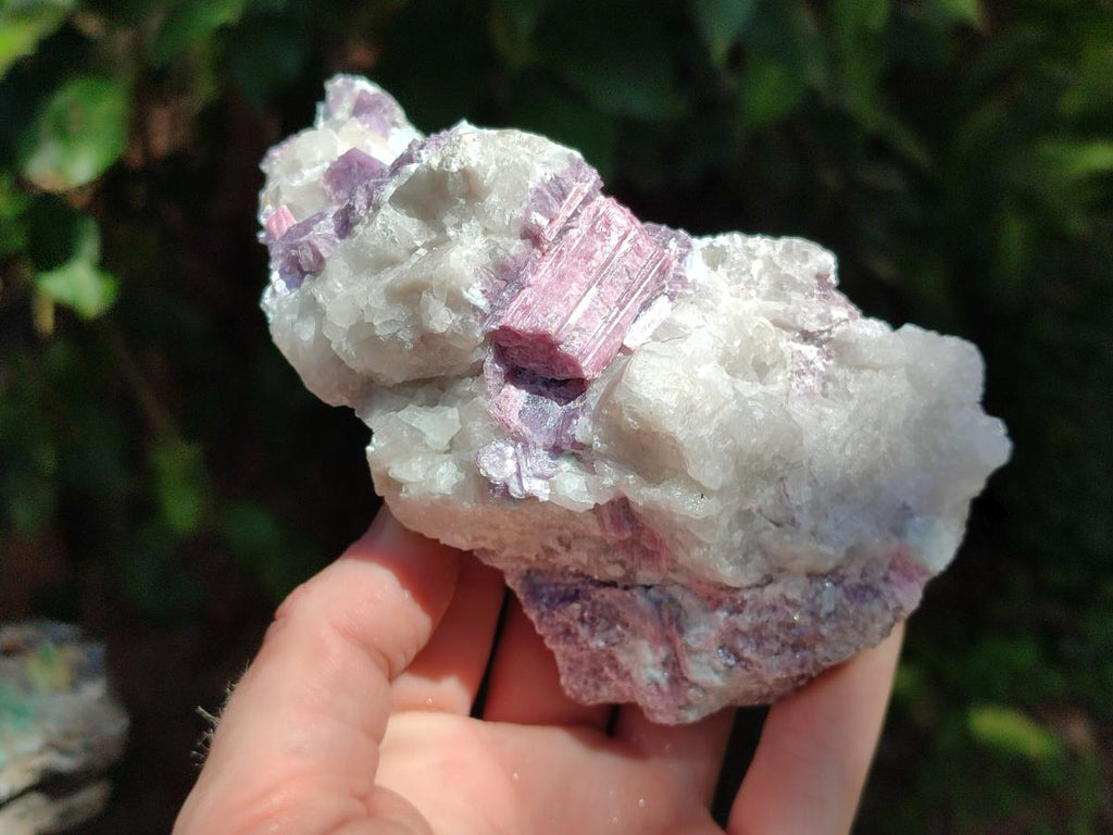 Natural Pink Rubellite Tourmaline Specimens x 6 From Karibib, Namibia - Toprock Gemstones and Minerals 