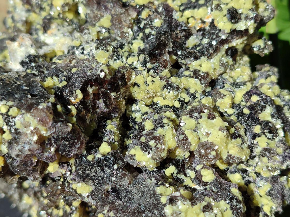 Natural Large Smokey Fluorite with Yellow Vermiculite and Hyalite Opal Cluster x 1 From Erongo, Namibia - Toprock Gemstones and Minerals 