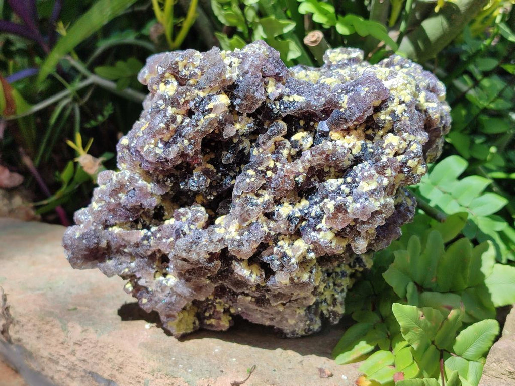 Natural Large Smokey Fluorite with Yellow Vermiculite and Hyalite Opal Cluster x 1 From Erongo, Namibia - Toprock Gemstones and Minerals 