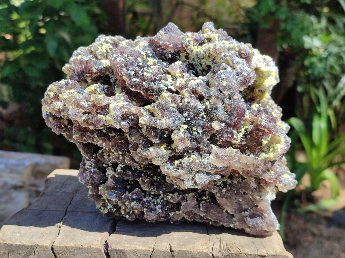 Natural Large Smokey Fluorite with Yellow Vermiculite and Hyalite Opal Cluster x 1 From Erongo, Namibia - Toprock Gemstones and Minerals 