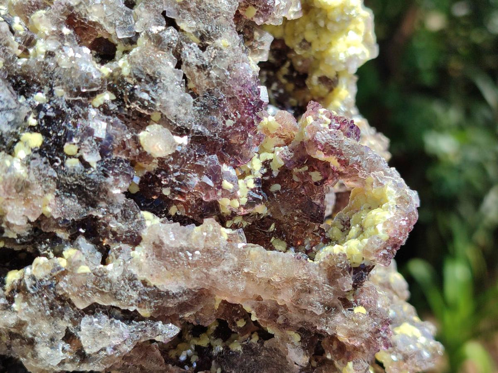 Natural Large Smokey Fluorite with Yellow Vermiculite and Hyalite Opal Cluster x 1 From Erongo, Namibia - Toprock Gemstones and Minerals 