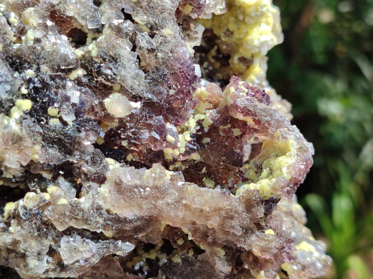 Natural Large Smokey Fluorite with Yellow Vermiculite and Hyalite Opal Cluster x 1 From Erongo, Namibia - Toprock Gemstones and Minerals 