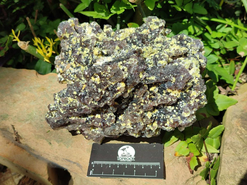 Natural Large Smokey Fluorite with Yellow Vermiculite and Hyalite Opal Cluster x 1 From Erongo, Namibia - Toprock Gemstones and Minerals 