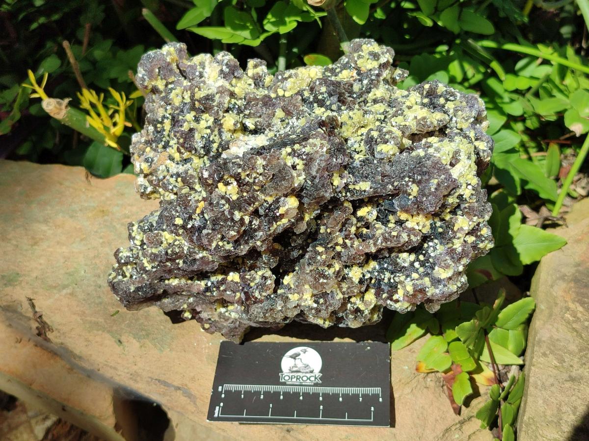 Natural Large Smokey Fluorite with Yellow Vermiculite and Hyalite Opal Cluster x 1 From Erongo, Namibia - Toprock Gemstones and Minerals 