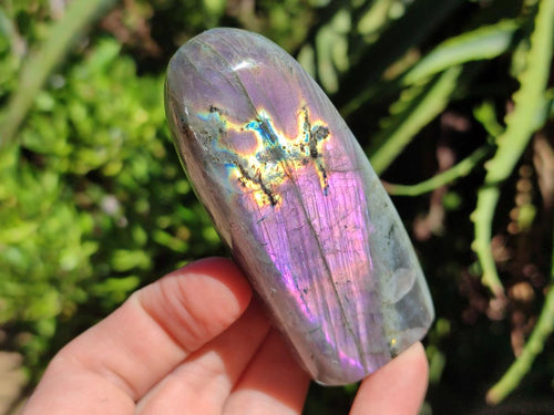 Polished Rare Purple Sunset Flash Labradorite Standing Free Forms x 12 From Madagascar - Toprock Gemstones and Minerals 