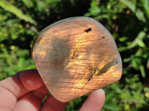 Polished Rare Purple Sunset Flash Labradorite Standing Free Forms x 12 From Madagascar - Toprock Gemstones and Minerals 