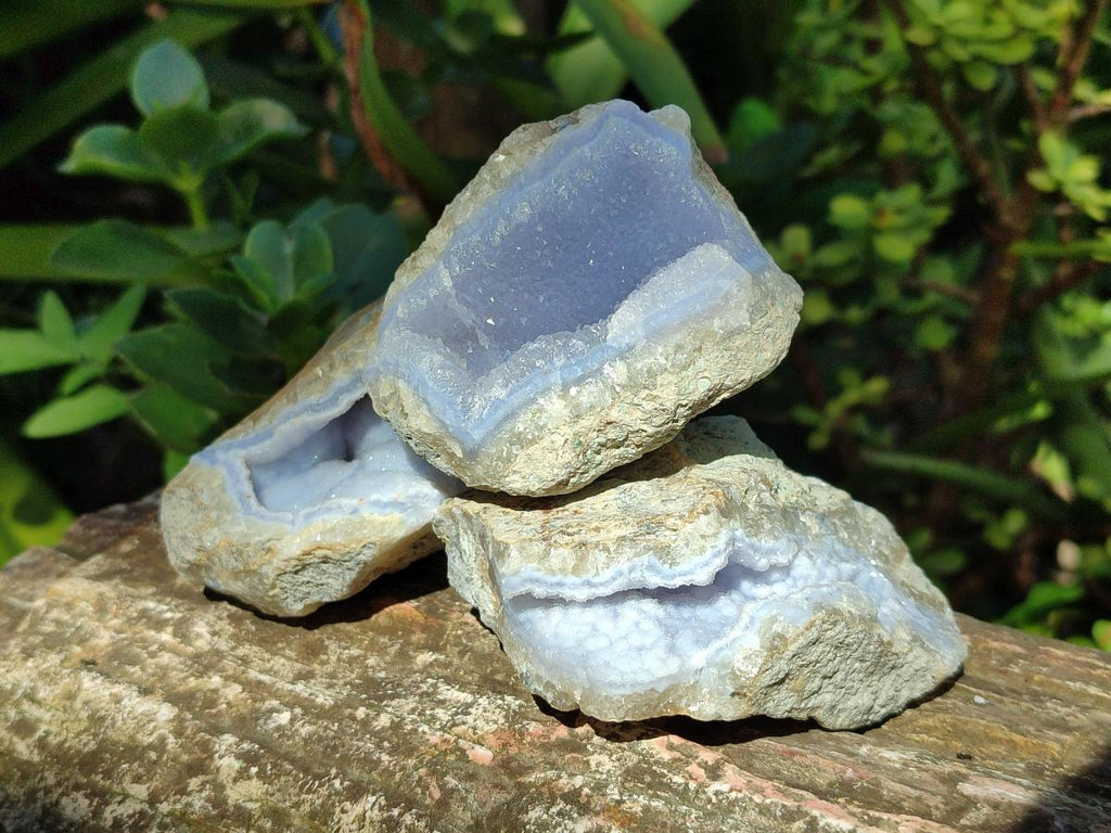 Natural Blue Lace Agate Geode Specimens x 24 From Nsanje, Malawi - Toprock Gemstones and Minerals 