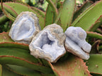Natural Blue Lace Agate Geode Specimens x 24 From Nsanje, Malawi - Toprock Gemstones and Minerals 