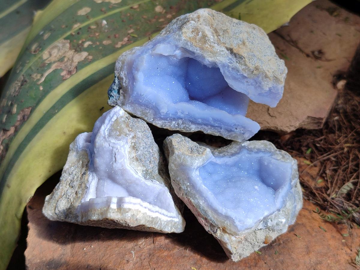 Natural Blue Lace Agate Geode Specimens x 24 From Nsanje, Malawi - Toprock Gemstones and Minerals 