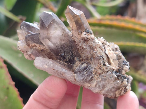 Natural Smokey Quartz Clusters with Orthoclase and Aegirine x 6 From Zomba Plateau, Malawi - Toprock Gemstones and Minerals 