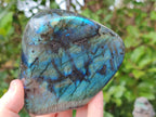 Polished Labradorite Standing Free Forms x 2 From Madagascar - Toprock Gemstones and Minerals 