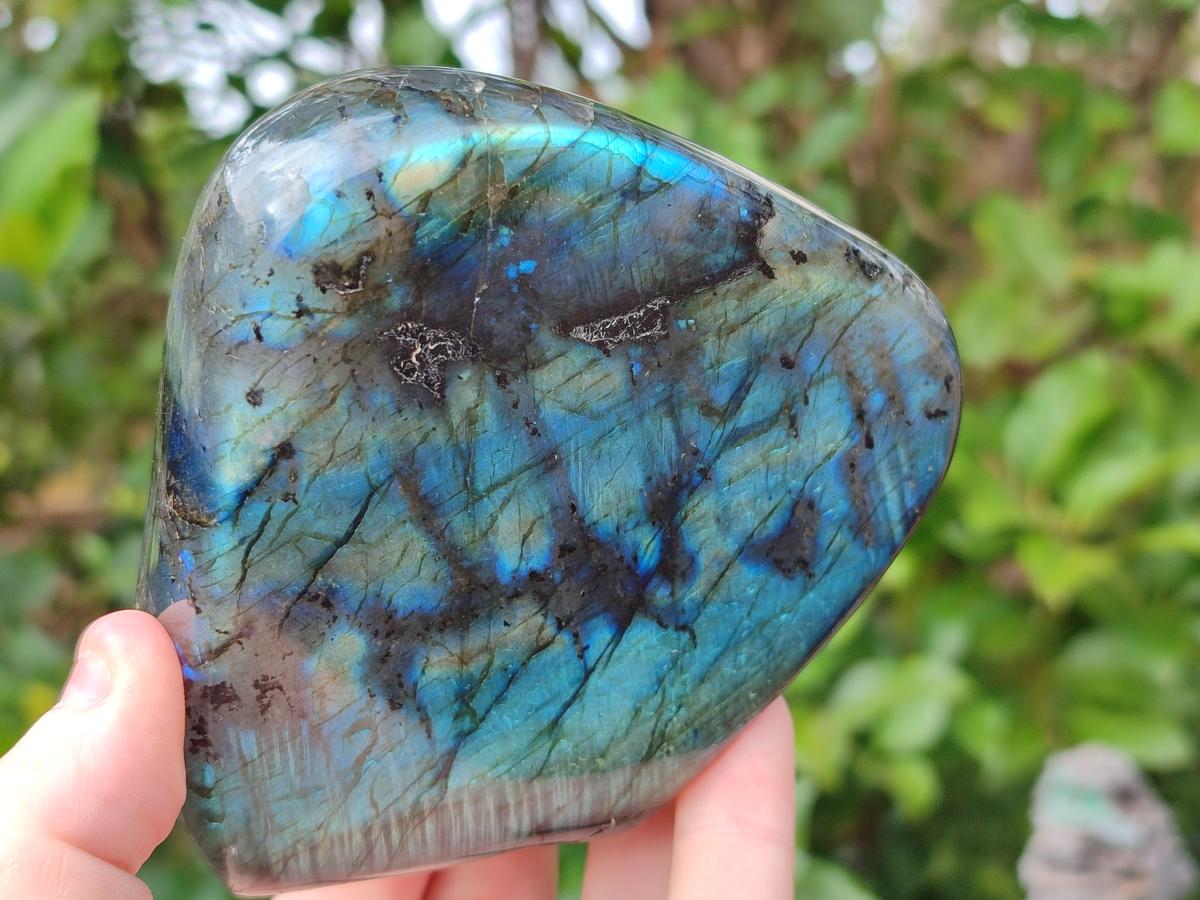 Polished Labradorite Standing Free Forms x 2 From Madagascar - Toprock Gemstones and Minerals 