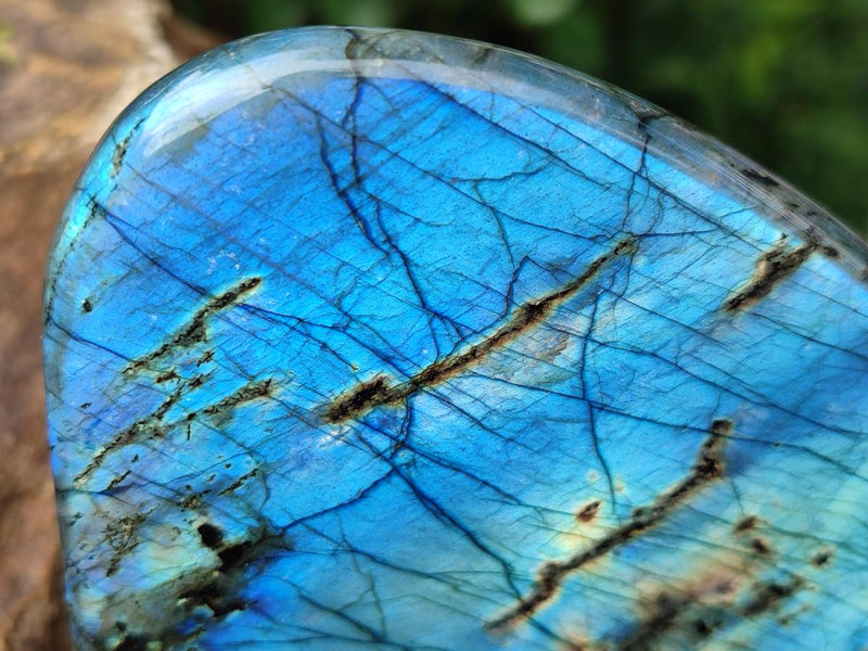 Polished Labradorite Standing Free Forms x 2 From Madagascar - Toprock Gemstones and Minerals 