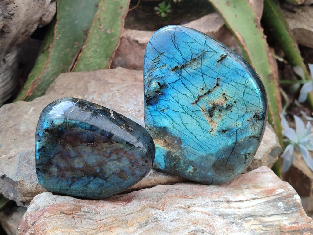 Polished Labradorite Standing Free Forms x 2 From Madagascar - Toprock Gemstones and Minerals 