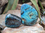 Polished Labradorite Standing Free Forms x 2 From Madagascar - Toprock Gemstones and Minerals 