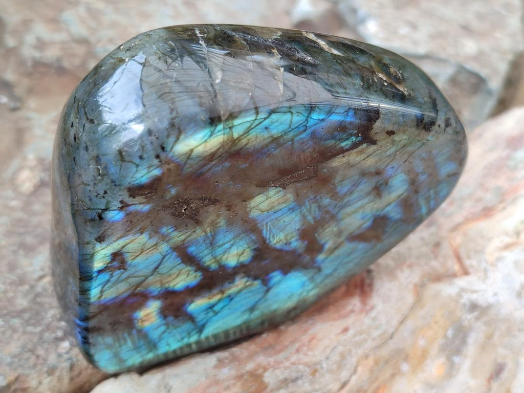 Polished Labradorite Standing Free Forms x 2 From Madagascar - Toprock Gemstones and Minerals 