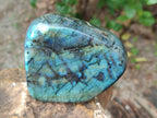 Polished Labradorite Standing Free Forms x 2 From Madagascar - Toprock Gemstones and Minerals 