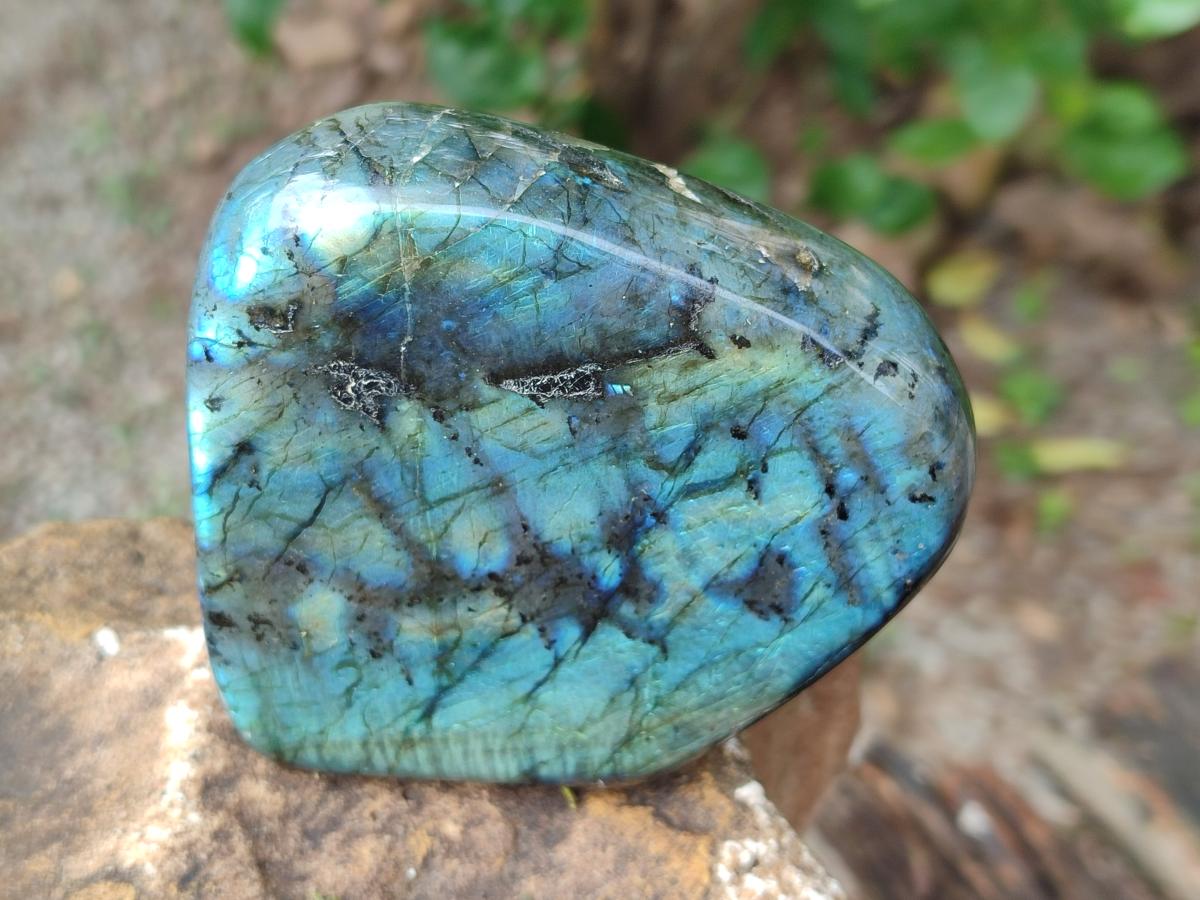 Polished Labradorite Standing Free Forms x 2 From Madagascar - Toprock Gemstones and Minerals 