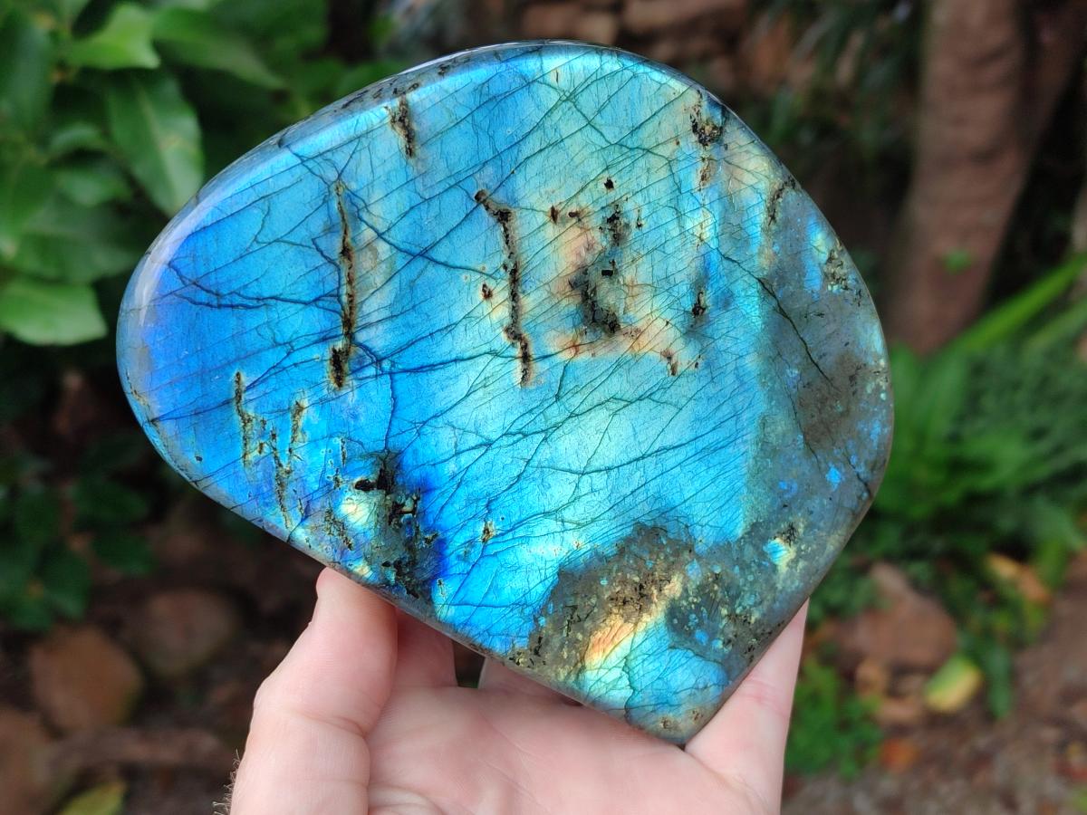 Polished Labradorite Standing Free Forms x 2 From Madagascar - Toprock Gemstones and Minerals 