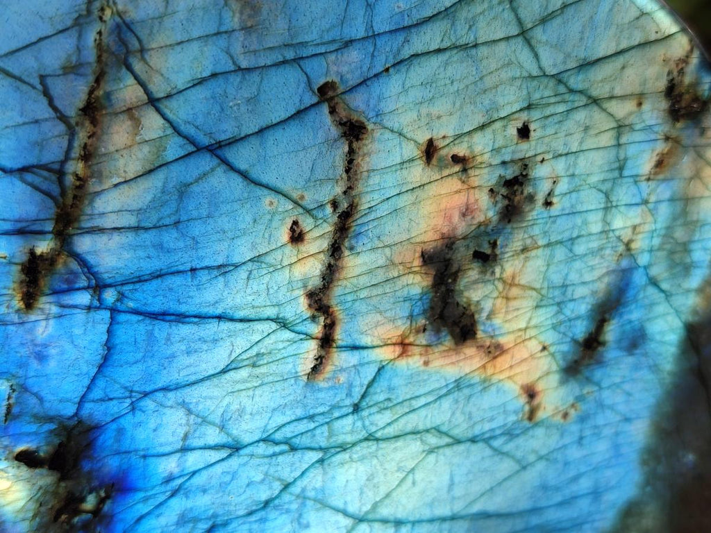 Polished Labradorite Standing Free Forms x 2 From Madagascar - Toprock Gemstones and Minerals 
